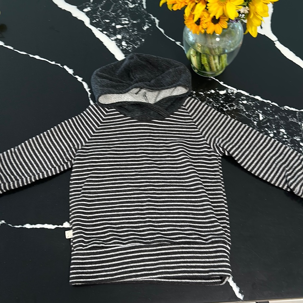 Childhoods Clothing Trademark Raglan hoodie-2T